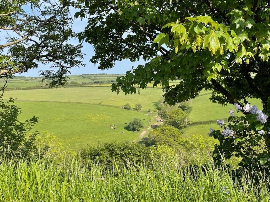 Willa Whitebeam, Moor And Sea Holidays, Beautiful Views Over Exmoor Lynton Zewnętrze zdjęcie